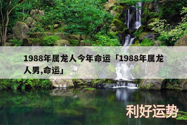 1988年属龙人今年命运及1988年属龙人男,命运