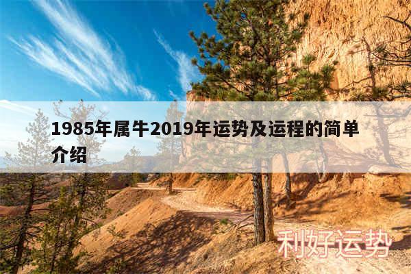 1985年属牛2019年运势及运程的简单介绍