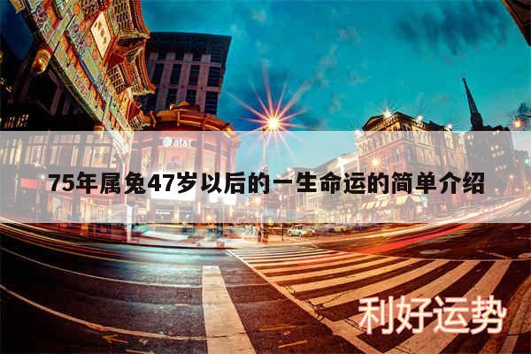 75年属兔47岁以后的一生命运的简单介绍