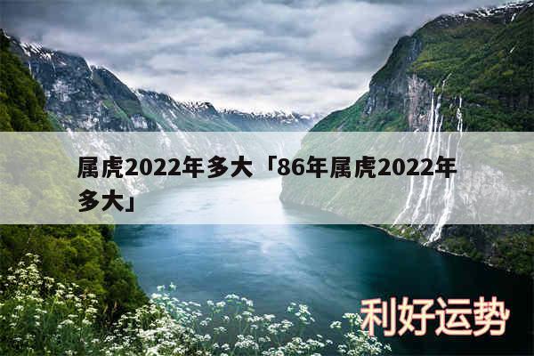 属虎2024年多大及86年属虎2024年多大