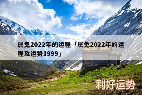 属兔2024年的运程及属兔2024年的运程及运势1999