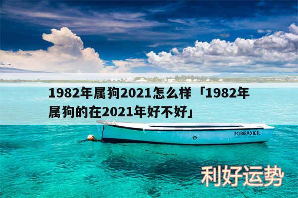 1982年属狗2024怎么样及1982年属狗的在2024年好不好