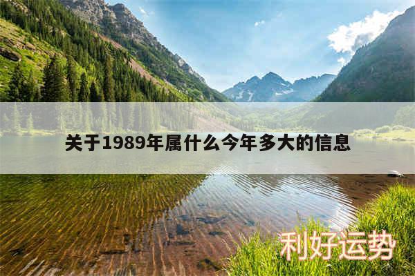 关于1989年属什么今年多大的信息