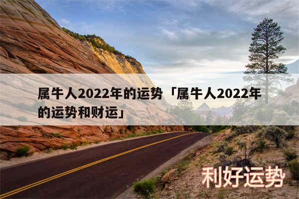 属牛人2024年的运势及属牛人2024年的运势和财运