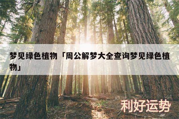 梦见绿色植物及周公解梦大全查询梦见绿色植物