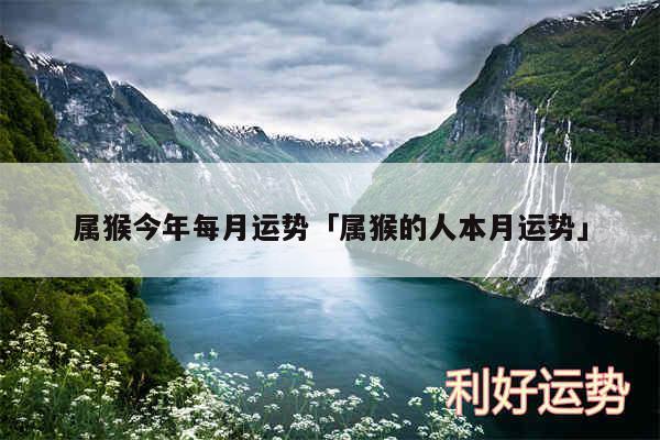 属猴今年每月运势及属猴的人本月运势