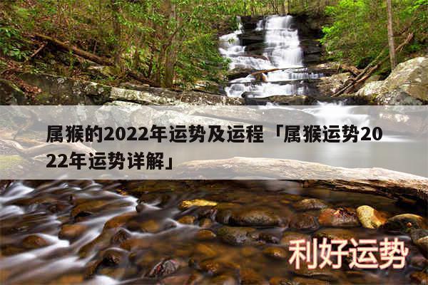 属猴的2024年运势及运程及属猴运势2024年运势详解