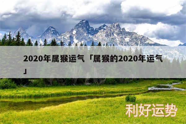 2020年属猴运气及属猴的2020年运气