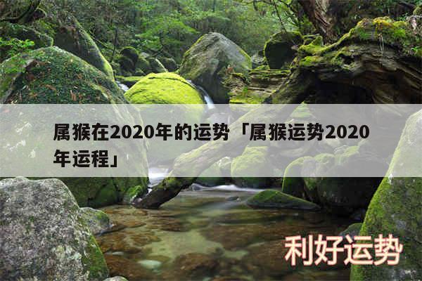 属猴在2020年的运势及属猴运势2020年运程