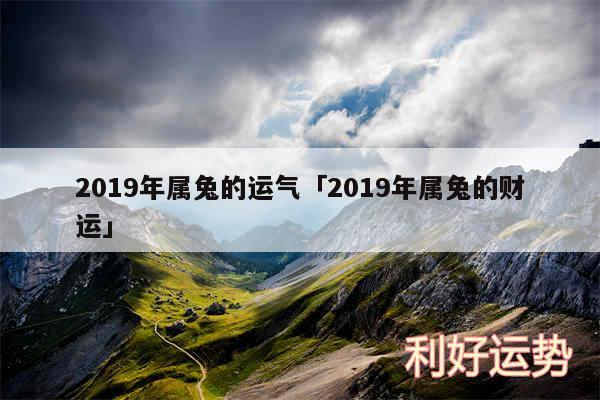 2019年属兔的运气及2019年属兔的财运