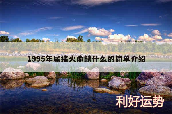 1995年属猪火命缺什么的简单介绍