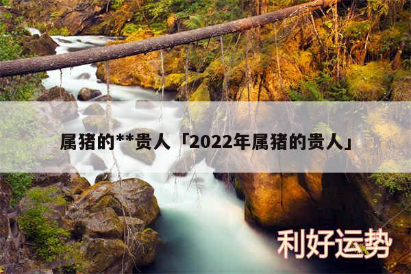 属猪的**贵人及2024年属猪的贵人