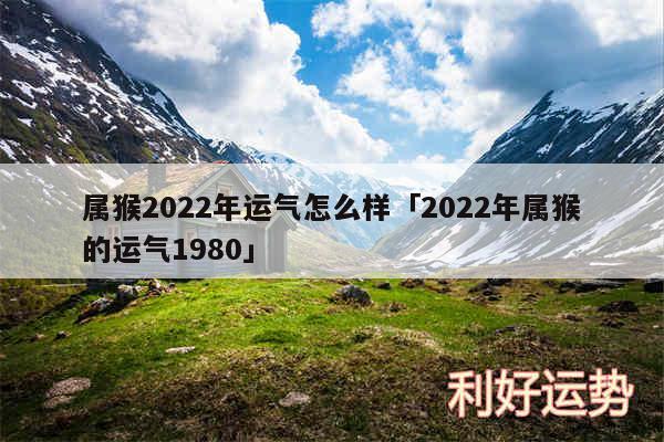 属猴2024年运气怎么样及2024年属猴的运气1980