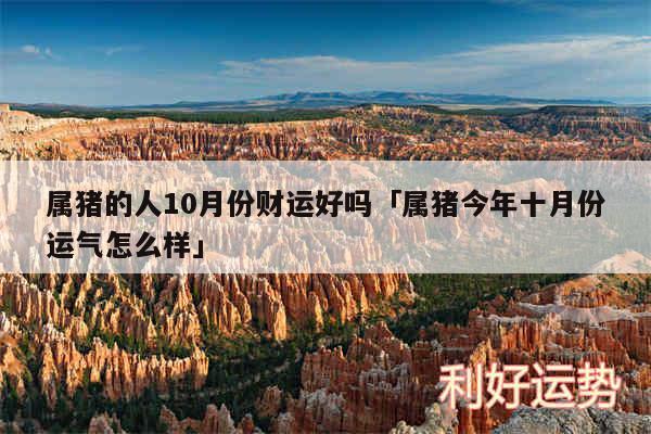属猪的人10月份财运好吗及属猪今年十月份运气怎么样