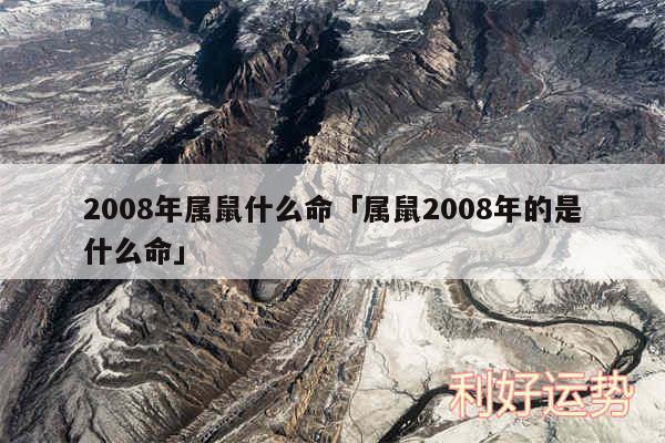 2008年属鼠什么命及属鼠2008年的是什么命