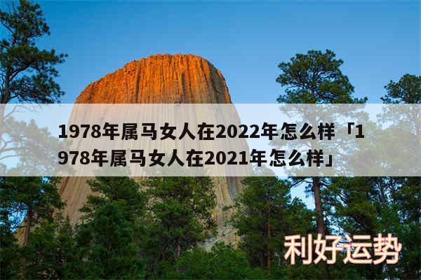 1978年属马女人在2024年怎么样及1978年属马女人在2024年怎么样