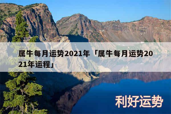 属牛每月运势2024年及属牛每月运势2024年运程