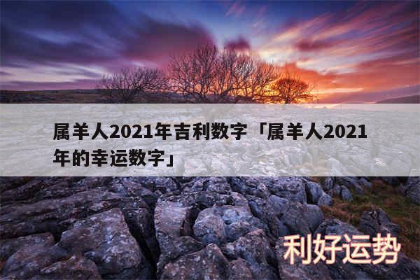 属羊人2024年吉利数字及属羊人2024年的幸运数字