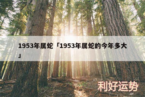 1953年属蛇及1953年属蛇的今年多大