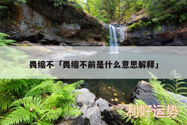 畏缩不及畏缩不前是什么意思解释