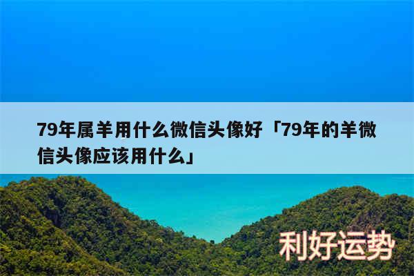 79年属羊用什么微信头像好及79年的羊微信头像应该用什么