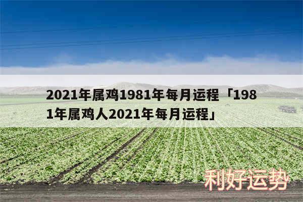 2024年属鸡1981年每月运程及1981年属鸡人2024年每月运程