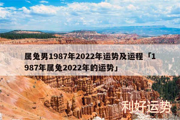 属兔男1987年2024年运势及运程及1987年属兔2024年的运势