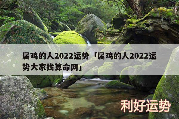 属鸡的人2024运势及属鸡的人2024运势大家找算命网