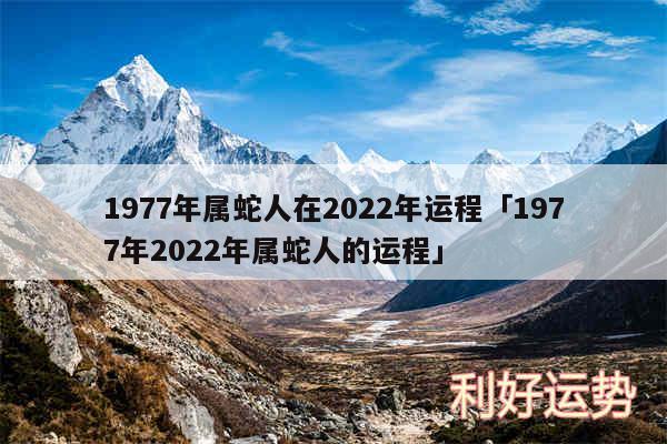 1977年属蛇人在2024年运程及1977年2024年属蛇人的运程