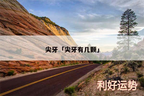 尖牙及尖牙有几颗