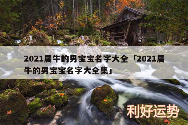 2024属牛的男宝宝名字大全及2024属牛的男宝宝名字大全集