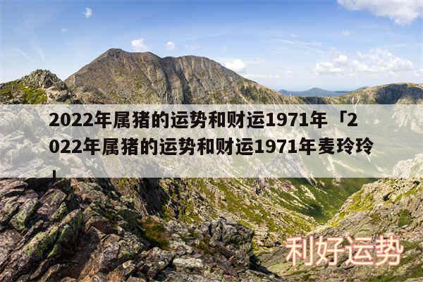 2024年属猪的运势和财运1971年及2024年属猪的运势和财运1971年麦玲玲