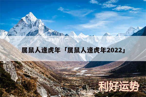 属鼠人逢虎年及属鼠人逢虎年2024