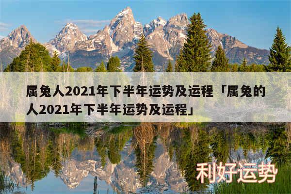 属兔人2024年下半年运势及运程及属兔的人2024年下半年运势及运程