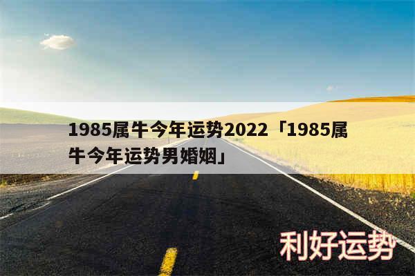 1985属牛今年运势2024及1985属牛今年运势男婚姻