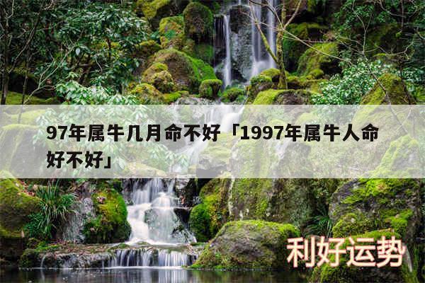 97年属牛几月命不好及1997年属牛人命好不好