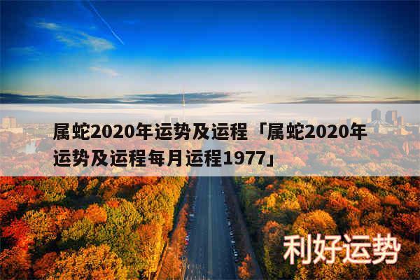 属蛇2020年运势及运程及属蛇2020年运势及运程每月运程1977