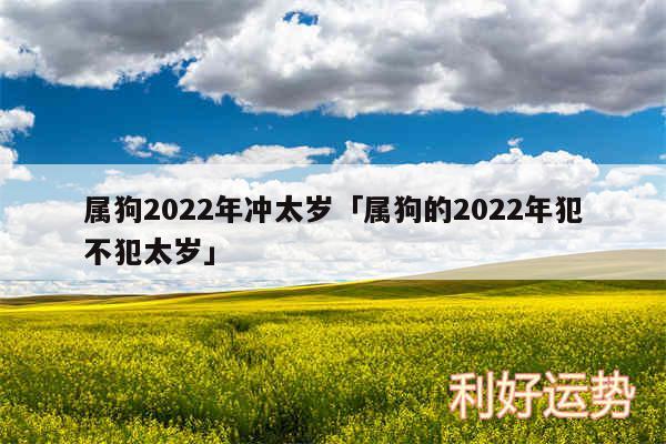 属狗2024年冲太岁及属狗的2024年犯不犯太岁