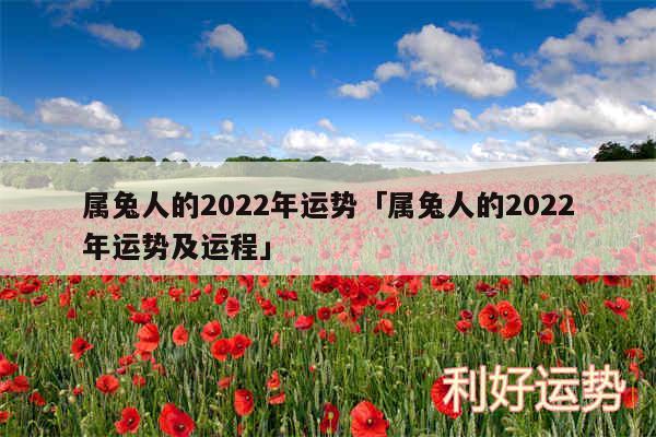 属兔人的2024年运势及属兔人的2024年运势及运程