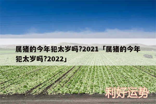 属猪的今年犯太岁吗?2024及属猪的今年犯太岁吗?2024