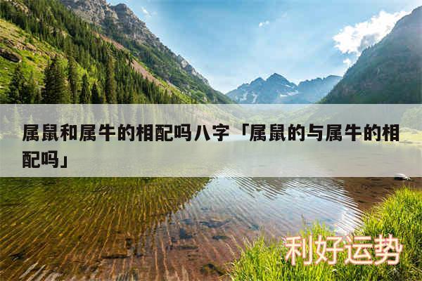 属鼠和属牛的相配吗八字及属鼠的与属牛的相配吗
