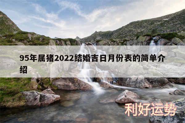 95年属猪2024结婚吉日月份表的简单介绍