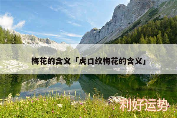 梅花的含义及虎口纹梅花的含义