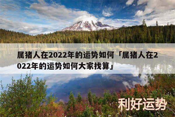 属猪人在2024年的运势如何及属猪人在2024年的运势如何大家找算