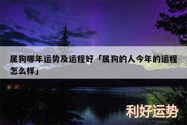 属狗哪年运势及运程好及属狗的人今年的运程怎么样