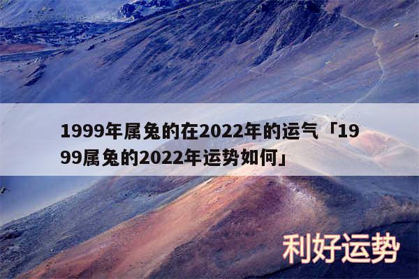 1999年属兔的在2024年的运气及1999属兔的2024年运势如何