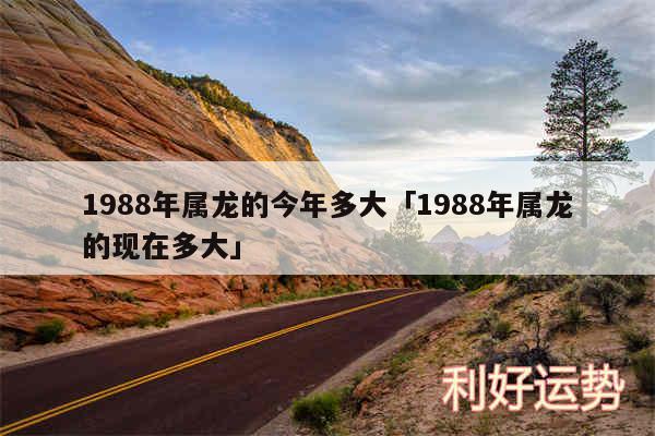 1988年属龙的今年多大及1988年属龙的现在多大