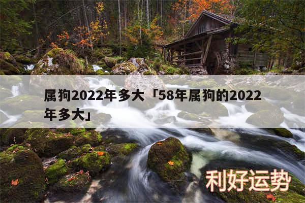 属狗2024年多大及58年属狗的2024年多大