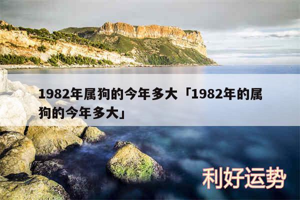 1982年属狗的今年多大及1982年的属狗的今年多大