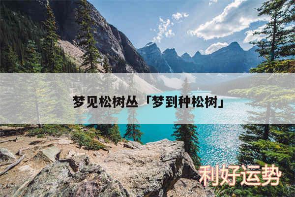 梦见松树丛及梦到种松树
